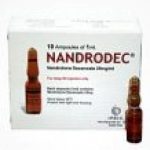 Nandrodec