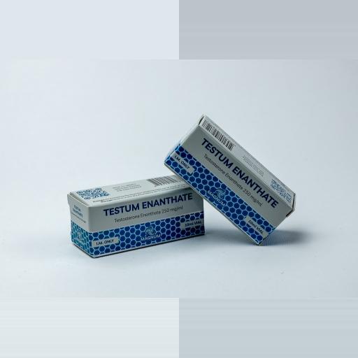 testum-enanthate-250-70519-b.jpg Testum Enanthate 250 - Image 1